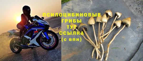 бошки Бутурлиновка