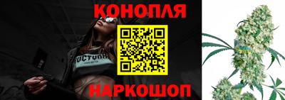 Альфа ПВП Краснознаменск