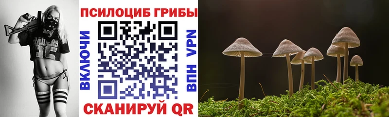 blacksprut сайт  Краснокаменск  Псилоцибиновые грибы Psilocybe 