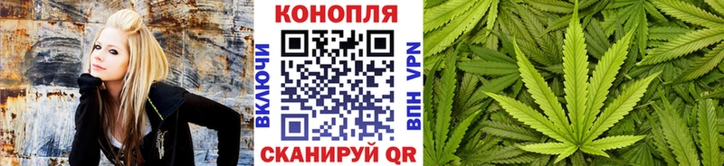 Шишки марихуана сатива  KRAKEN рабочий сайт  Краснокаменск 